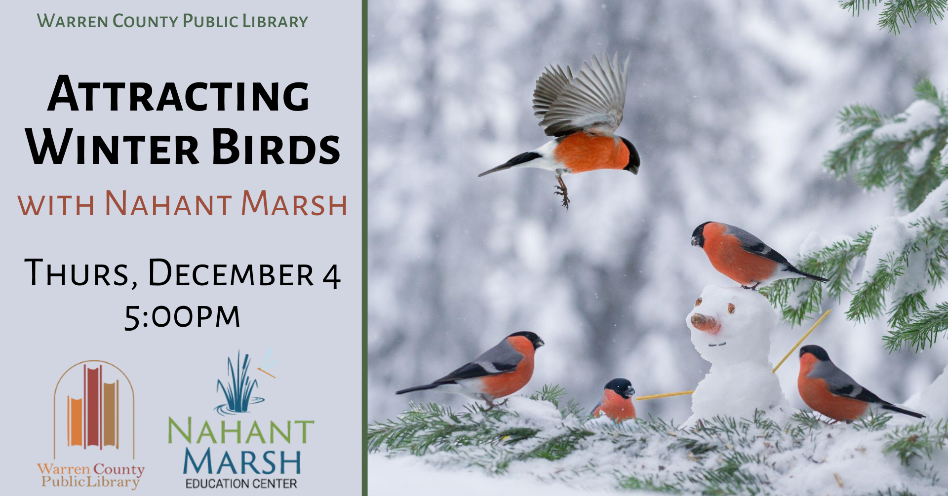Warren County Public Library Attracting Winter Birds with Nahant Marsh Thursday, December 4 at 5pm